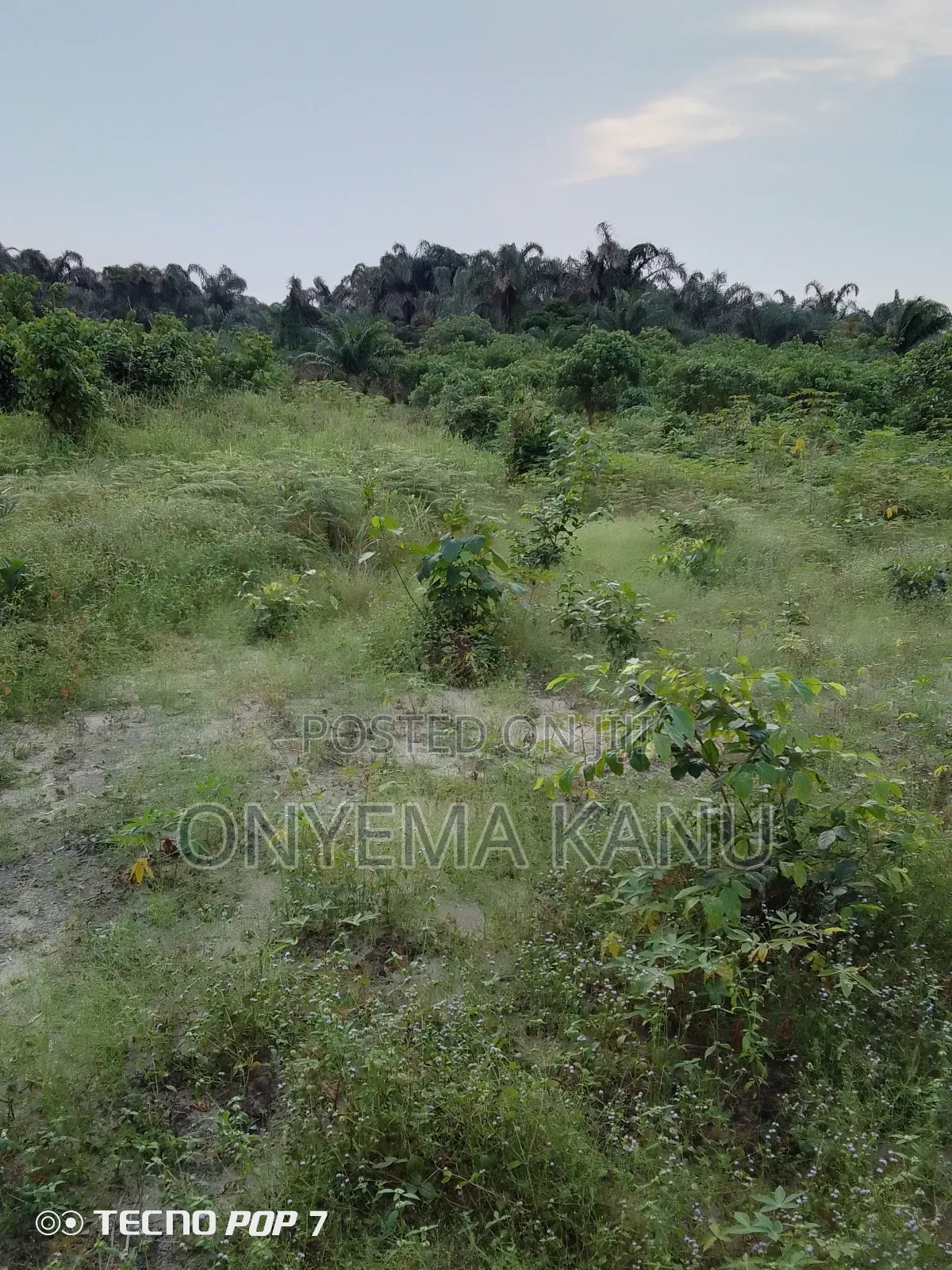 100 Plots for a Giveaway. in Ukwa