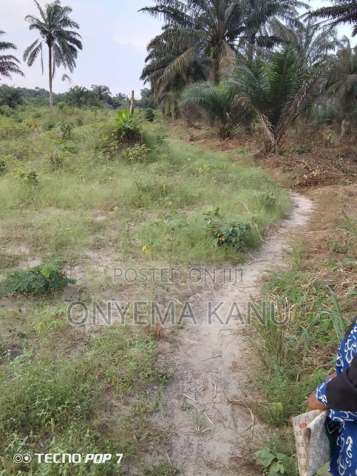 100 Plots for a Giveaway. in Ukwa