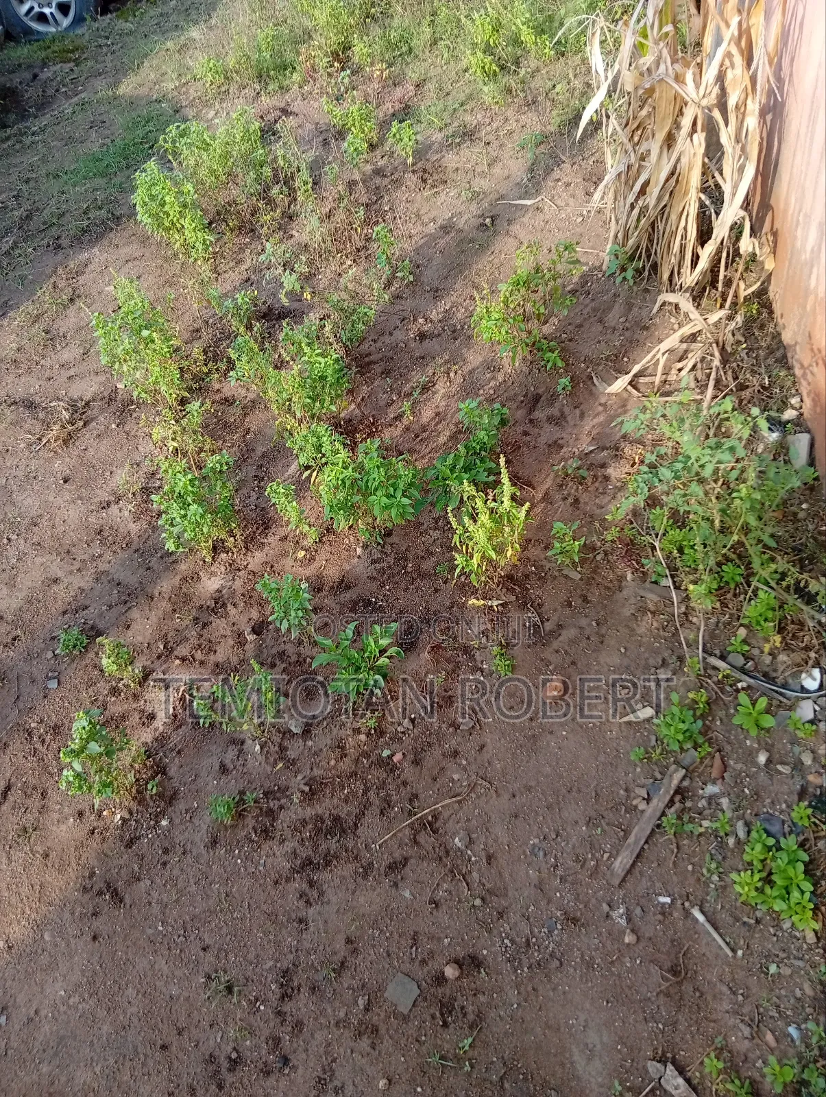 Half Plot of Land at Igbele Atan Ota in Ado-Odo/Ota