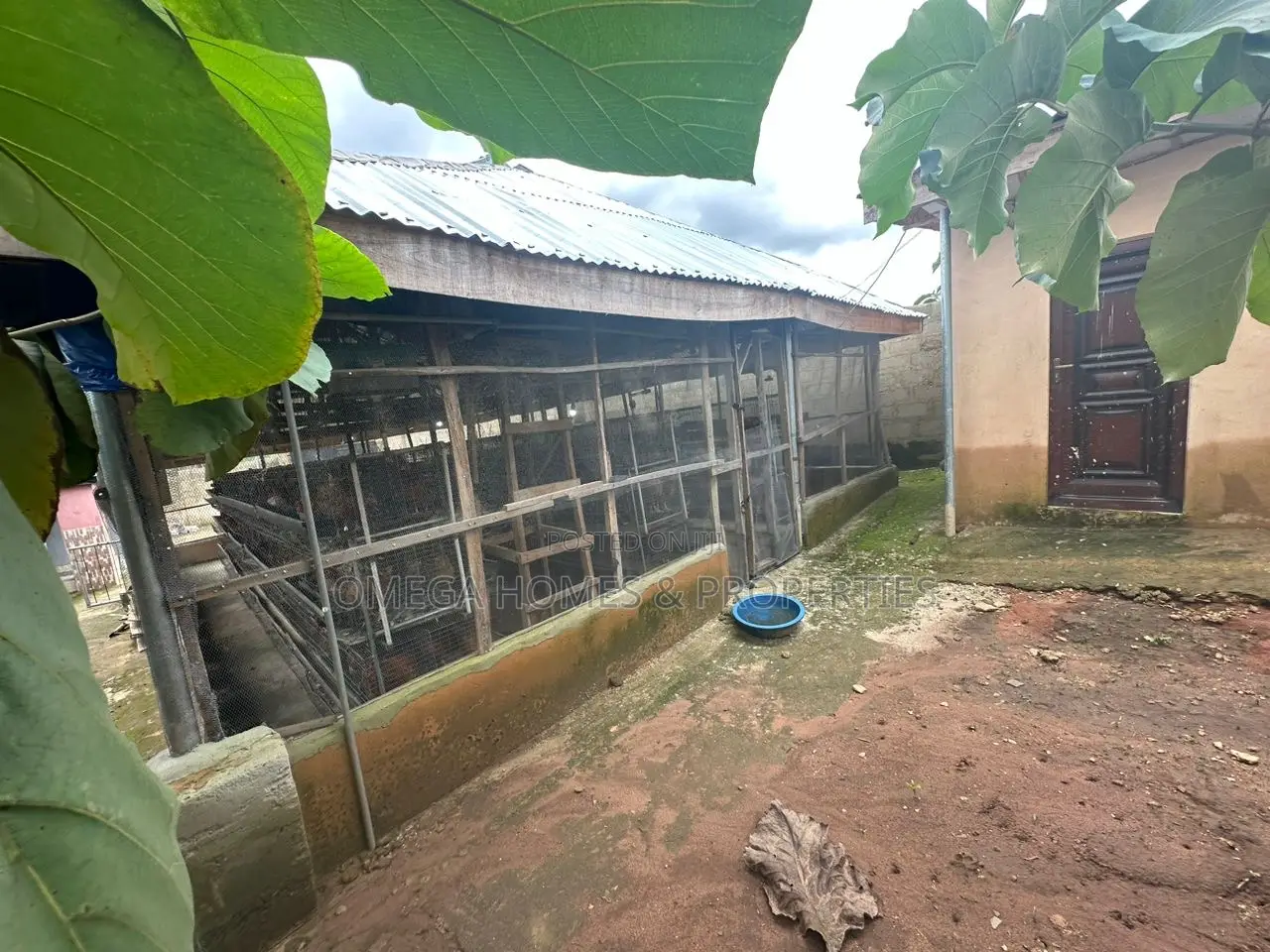 Poultry Farm for Sale in Umuahia