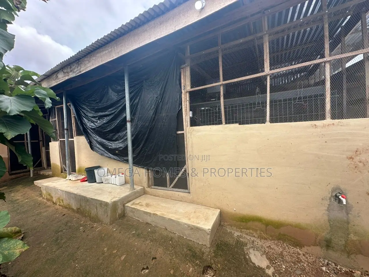Poultry Farm for Sale in Umuahia