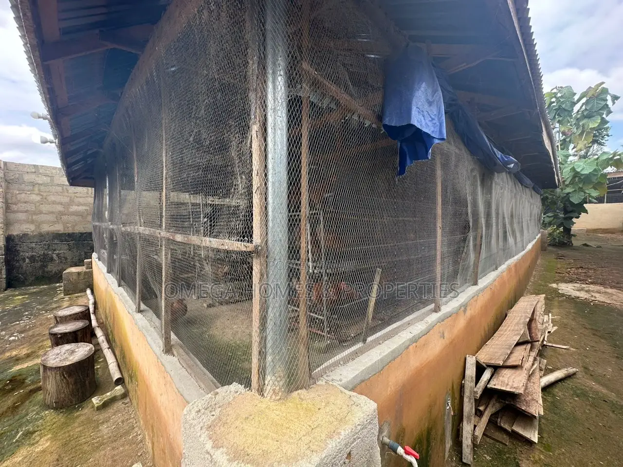 Poultry Farm for Sale in Umuahia