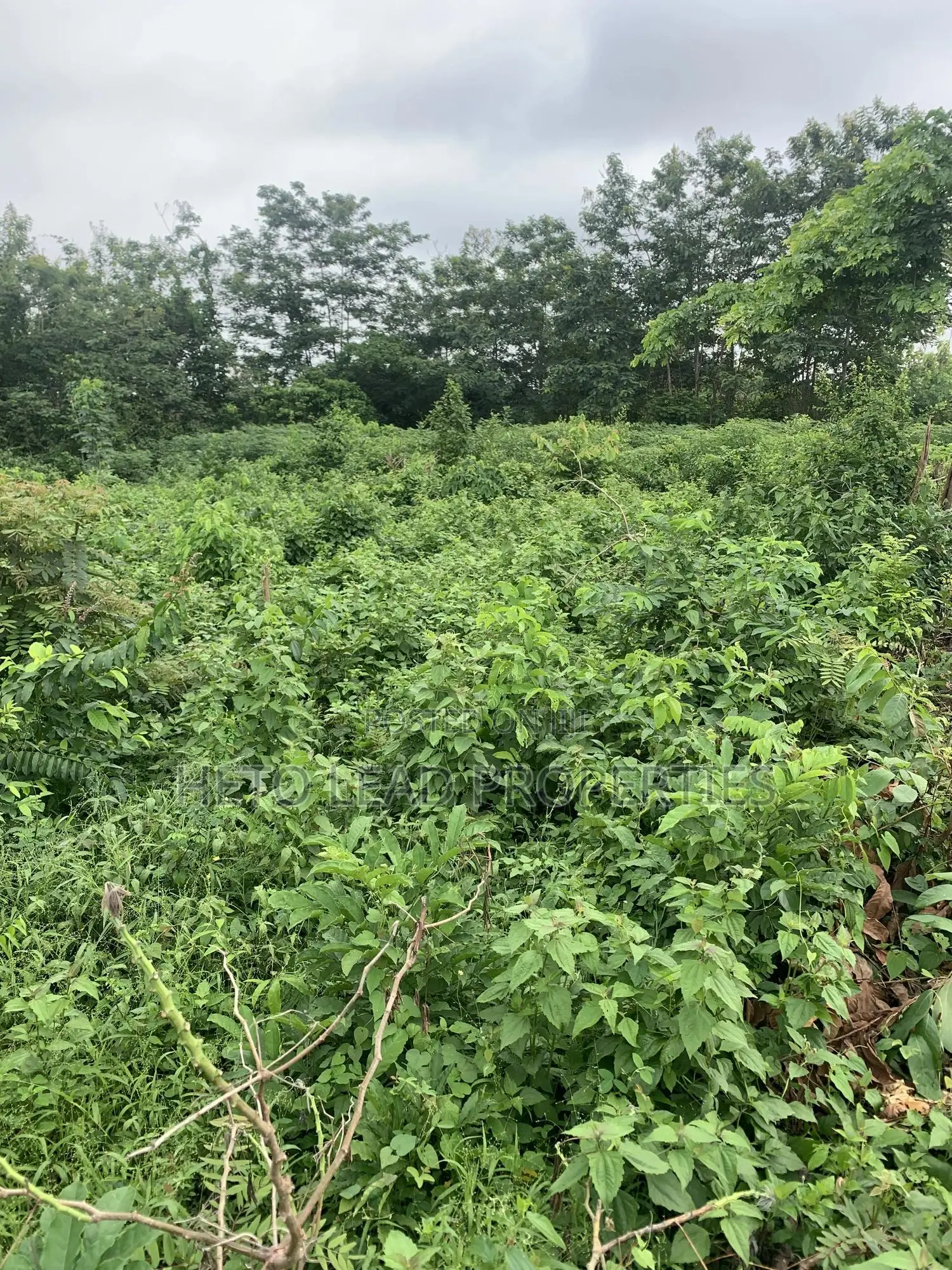 Prime Land of 2 Acres of Land at Egbeda in Egbeda / Egbeda