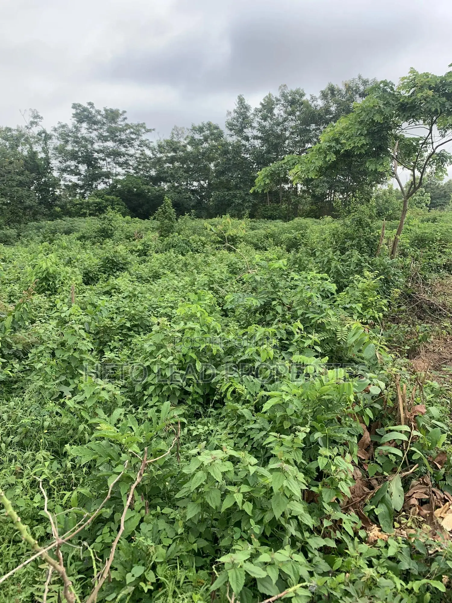 Prime Land of 2 Acres of Land at Egbeda in Egbeda / Egbeda
