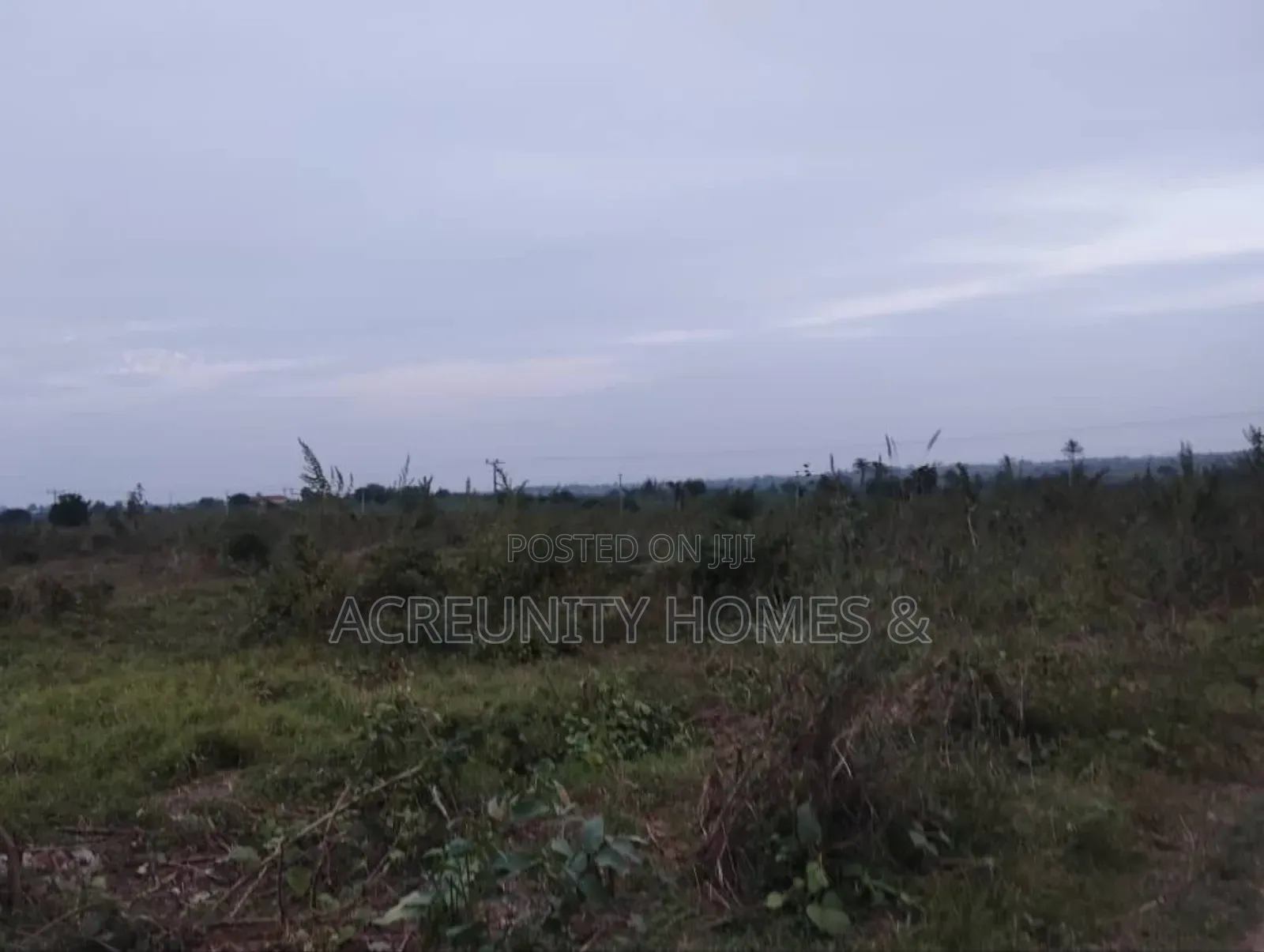 8 Acres Of Farmland For Sale – Km 5, Iseyin–Ogbomoso Road in Iseyin