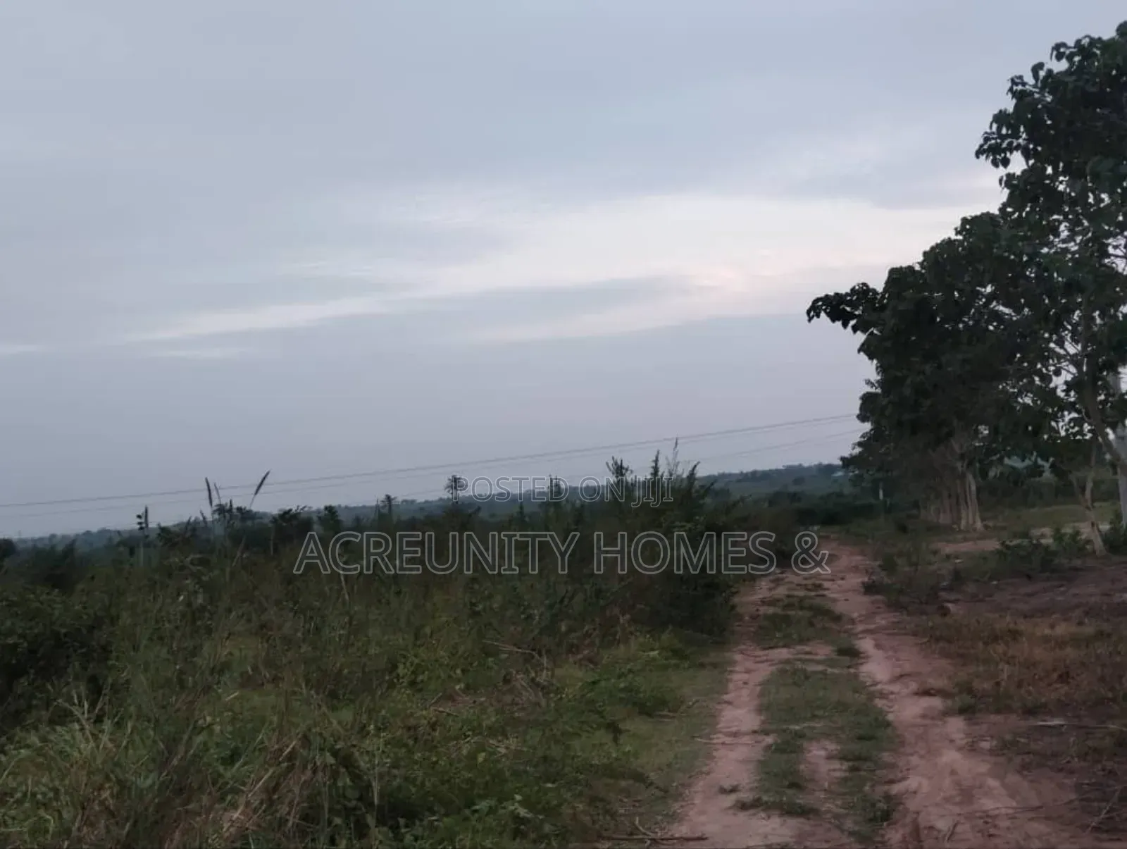 8 Acres Of Farmland For Sale – Km 5, Iseyin–Ogbomoso Road in Iseyin