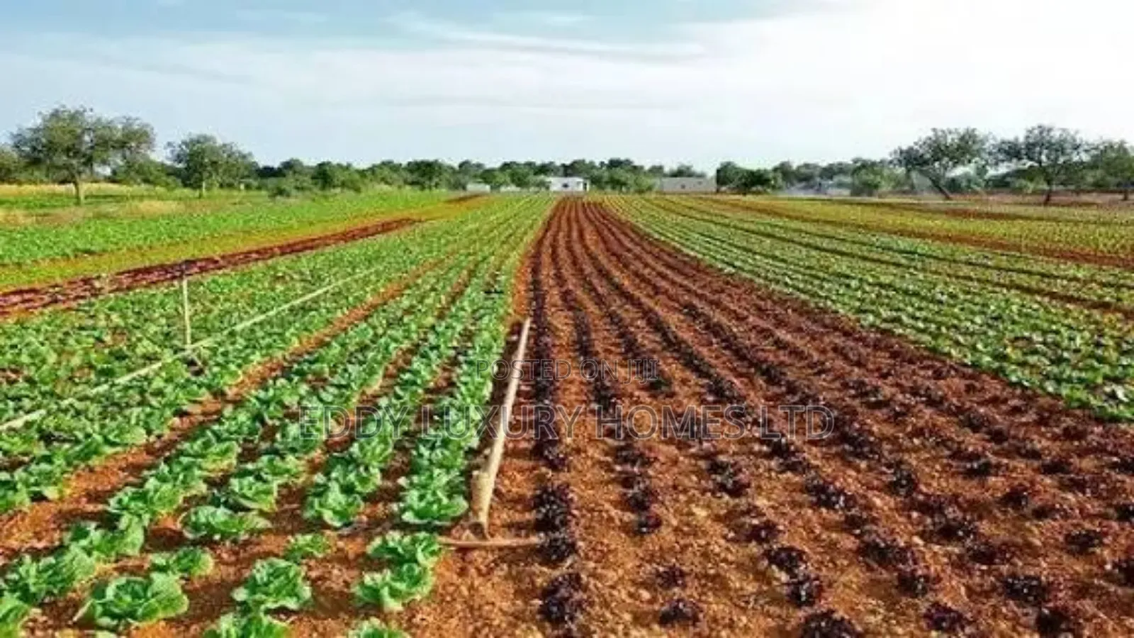 Hectares Of Lands For Sale In Uyo in Uyo