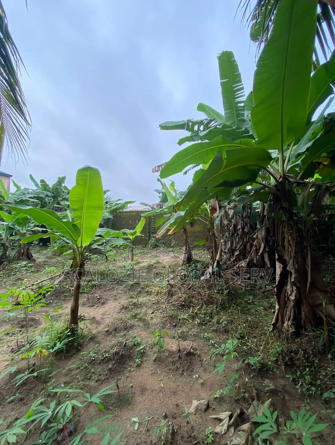 1 Plot of Land Fully Fenced Gated With Constant Electricity Secure in Port-Harcourt