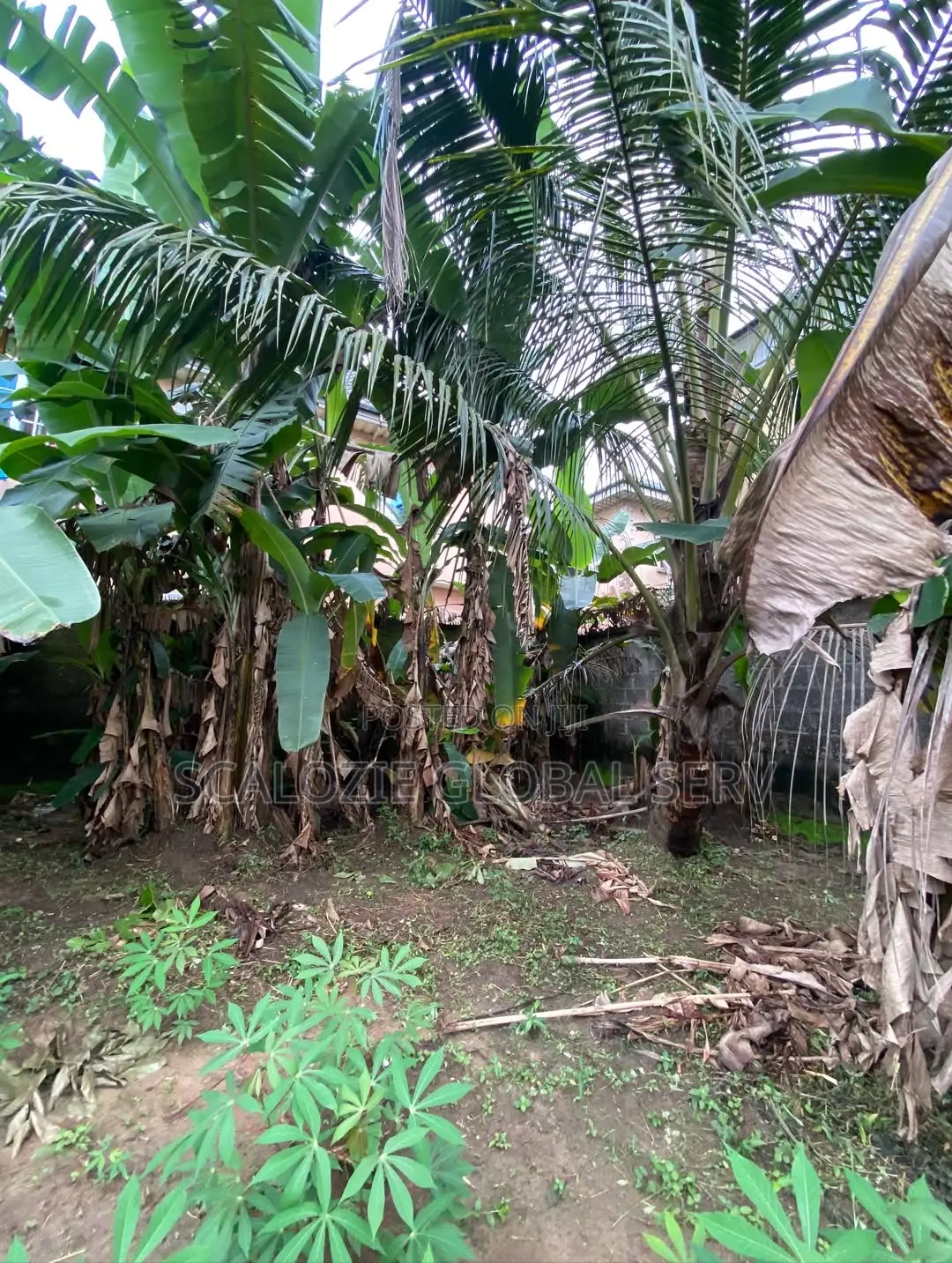1 Plot of Land Fully Fenced Gated With Constant Electricity Secure in Port-Harcourt
