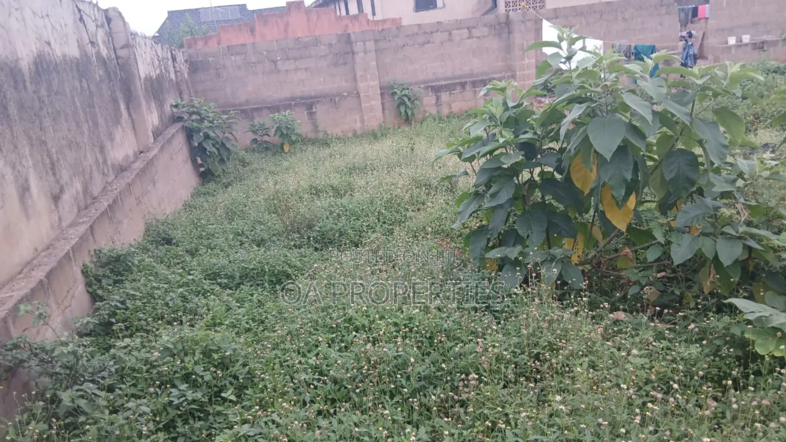 Standard Plot of Land for Sale Behind Agidigbo Fm, Akobo Ibadan in Ibadan