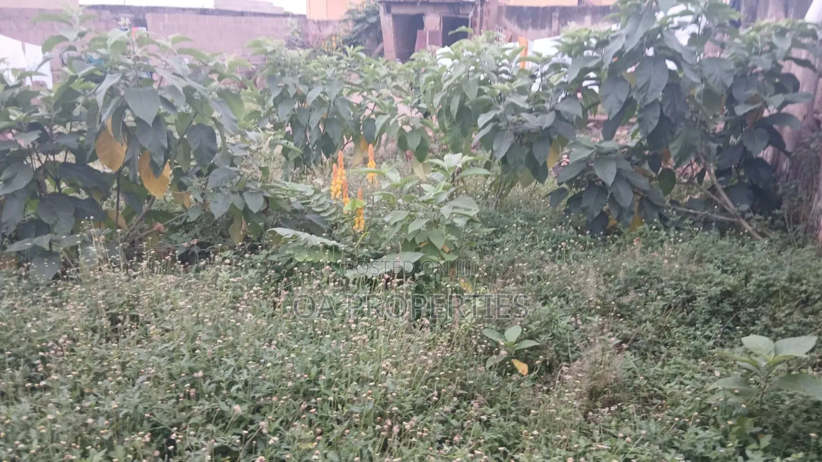 Standard Plot of Land for Sale Behind Agidigbo Fm, Akobo Ibadan in Ibadan