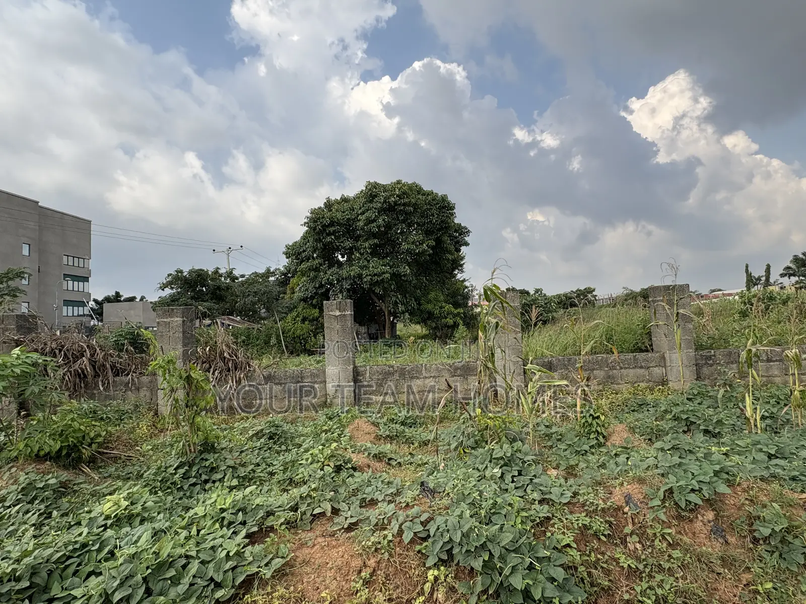 1.1 Hectare Commercial Land for Sale in Mabushi