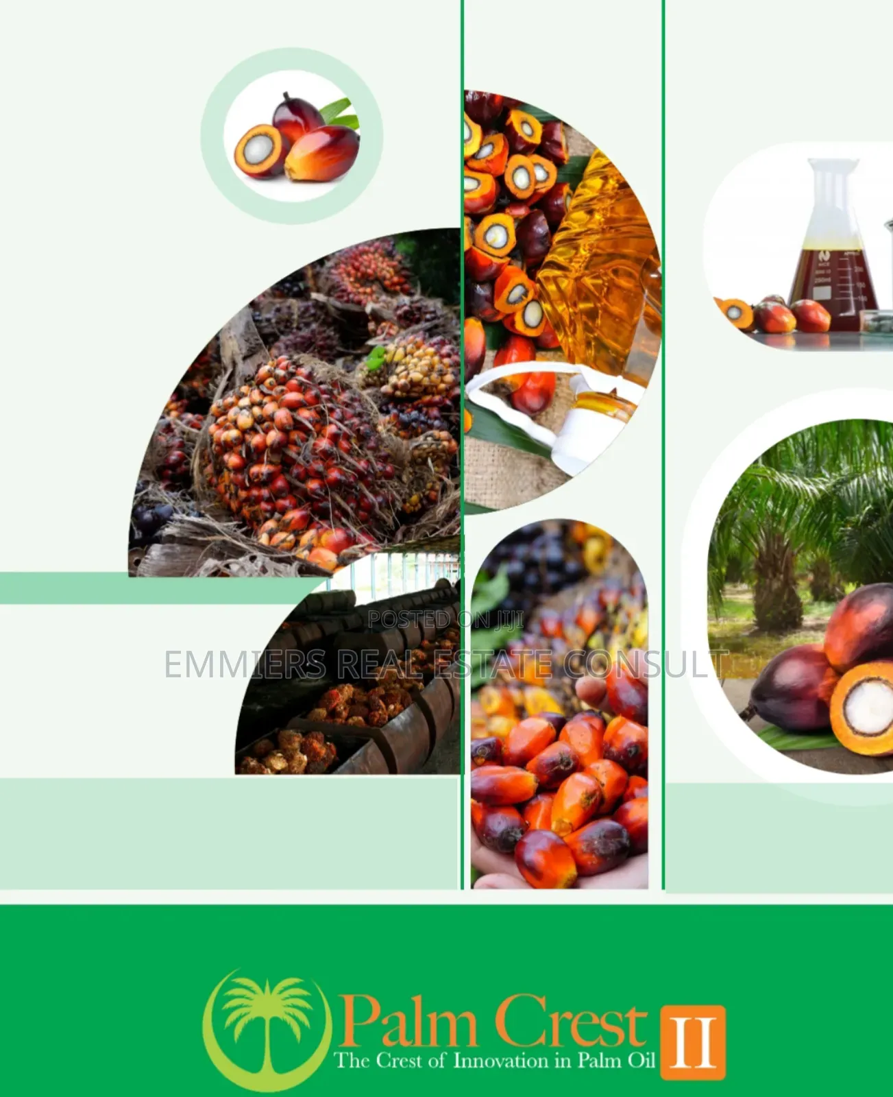 Palm Crest in Imeko Afon