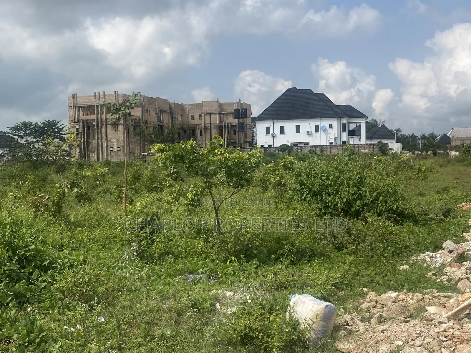 Genuine 100ft by 200ft With C of O in Amagba for Outright Sale in Benin City