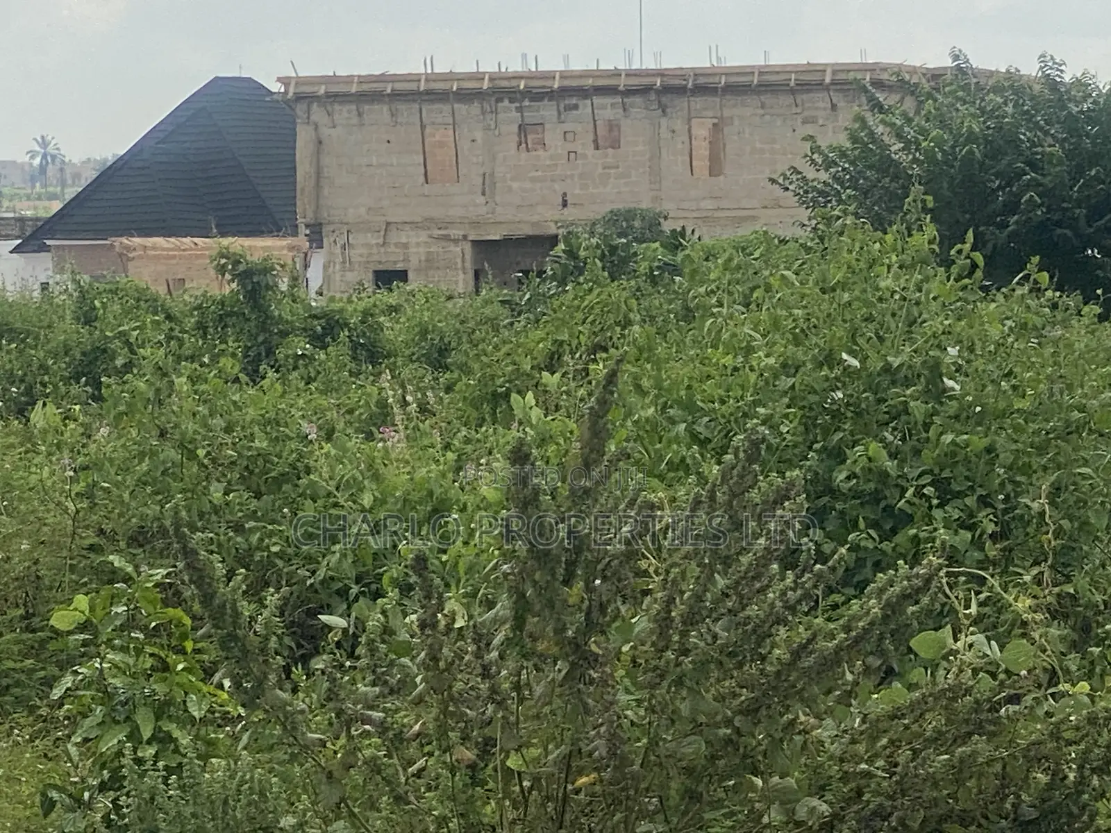 Nice and Genuine 90ft by 200ft With C of O in Amagba for Sale in Benin City