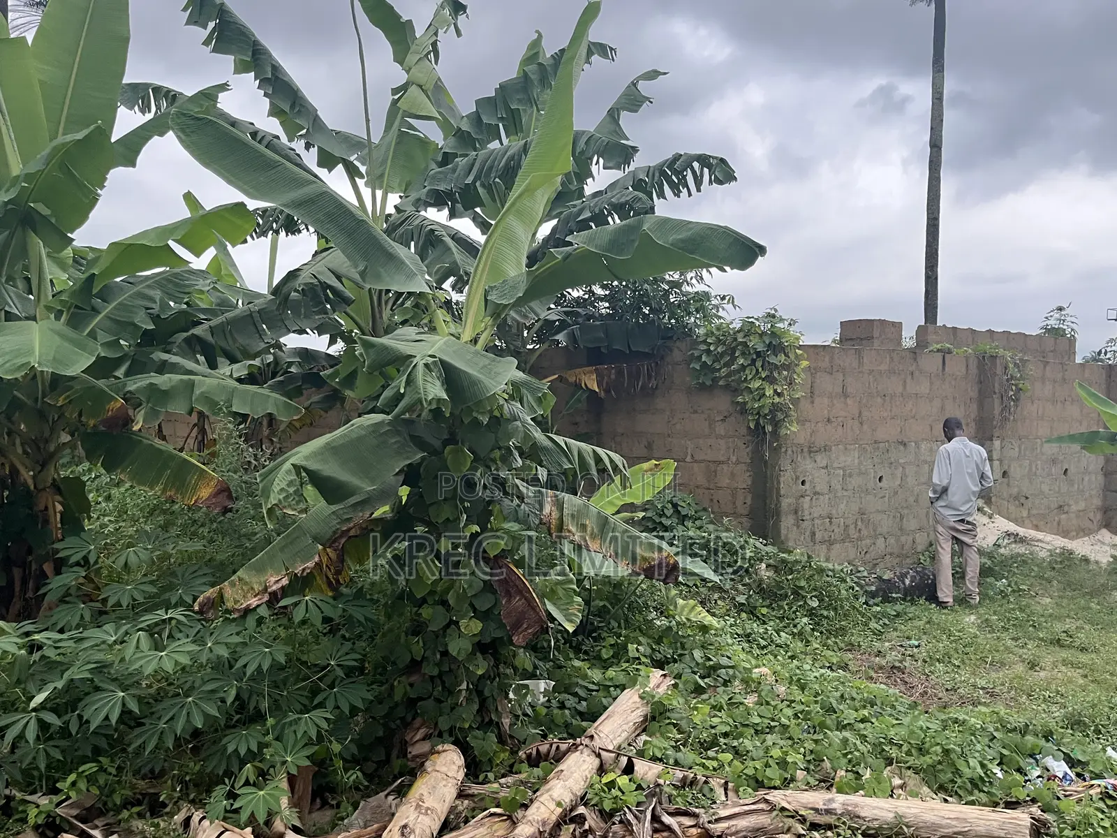 Deed of Conveyance at Igboetche 1plot in Obio-Akpor