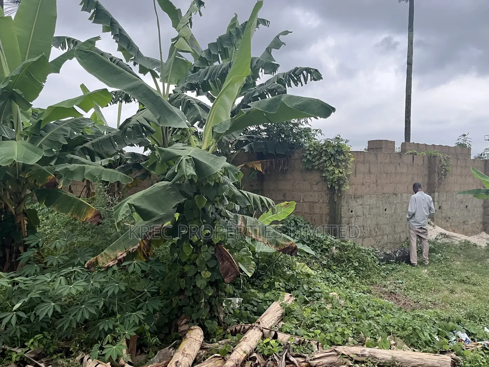 Deed of Conveyance at Igboetche 1plot in Obio-Akpor