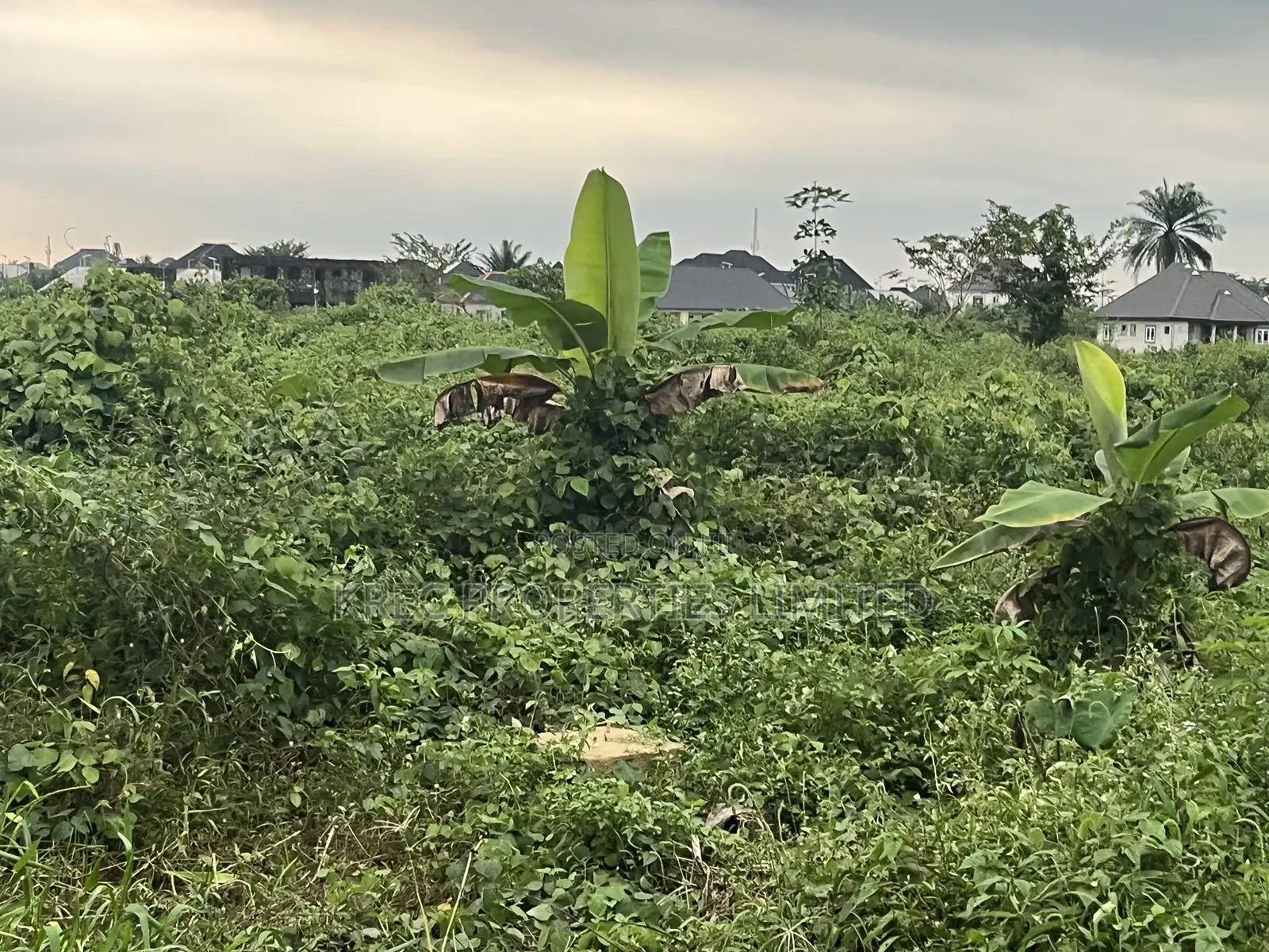 Deed of Conveyance at Igboetche 1plot in Obio-Akpor