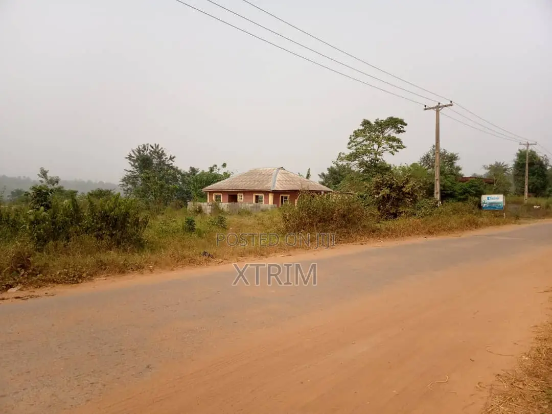 250 Acres of Land in Owode Town Along Idiroko Road, Ogun State in Obafemi-Owode