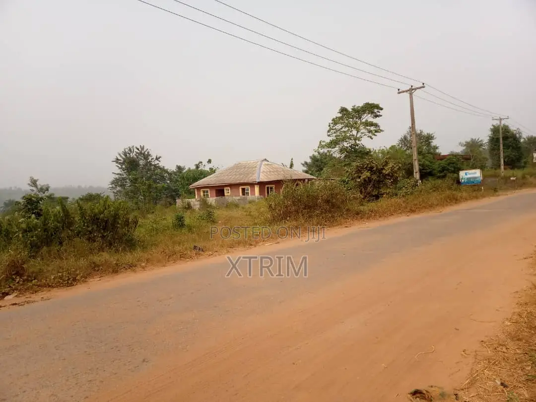 250 Acres of Land in Owode Town Along Idiroko Road, Ogun State in Obafemi-Owode