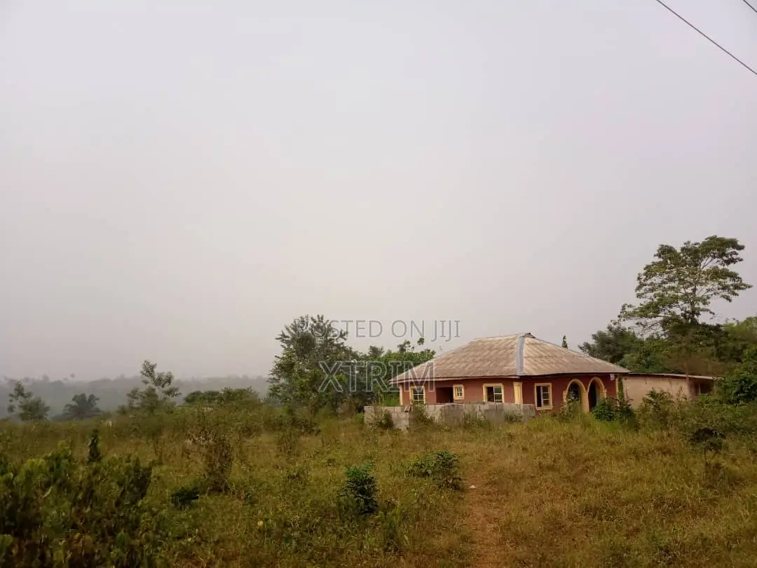 250 Acres of Land in Owode Town Along Idiroko Road, Ogun State in Obafemi-Owode