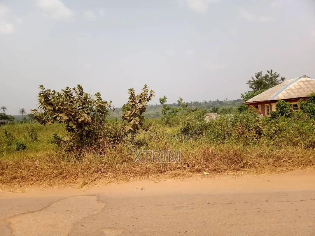 250 Acres of Land in Owode Town Along Idiroko Road, Ogun State in Obafemi-Owode