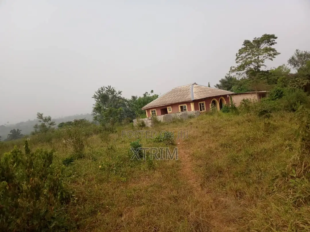 250 Acres of Land in Owode Town Along Idiroko Road, Ogun State in Obafemi-Owode