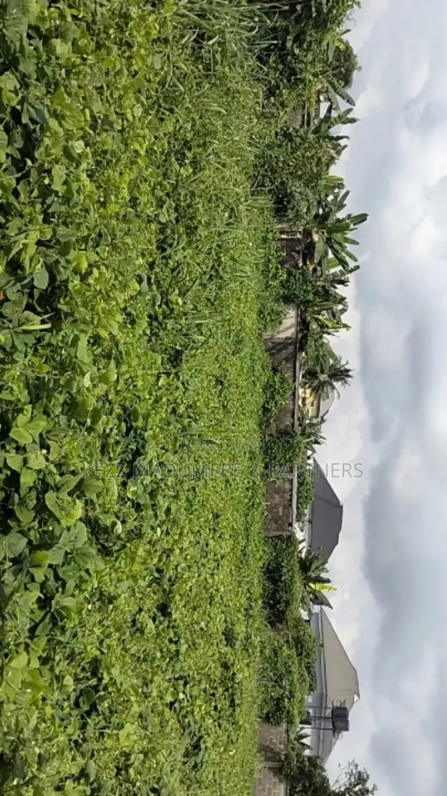 For Sale : 2 1⁄4 Plots 2 Poles Off Major Road ,Ozuoba Rd Ph in Uzoba