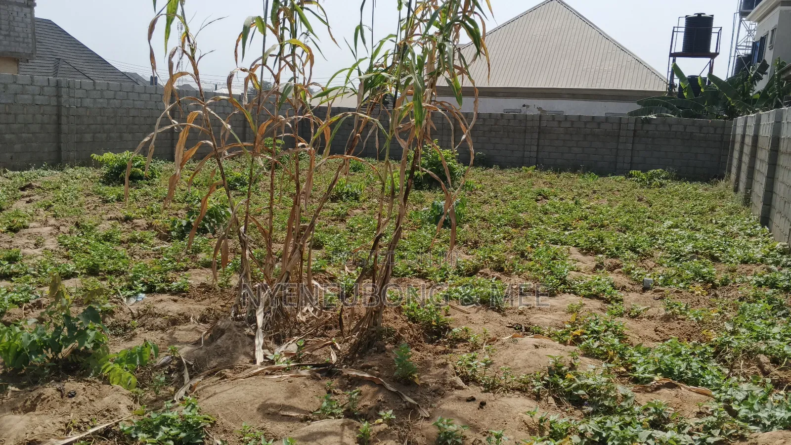 900sqm. Estate Land for Sale in Karu