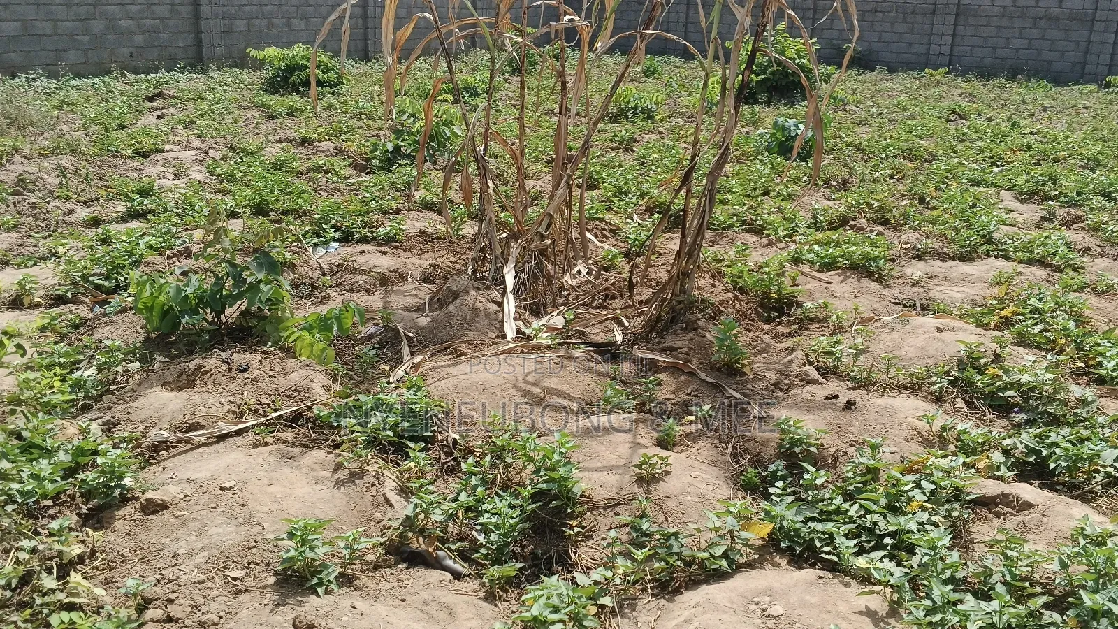 900sqm. Estate Land for Sale in Karu