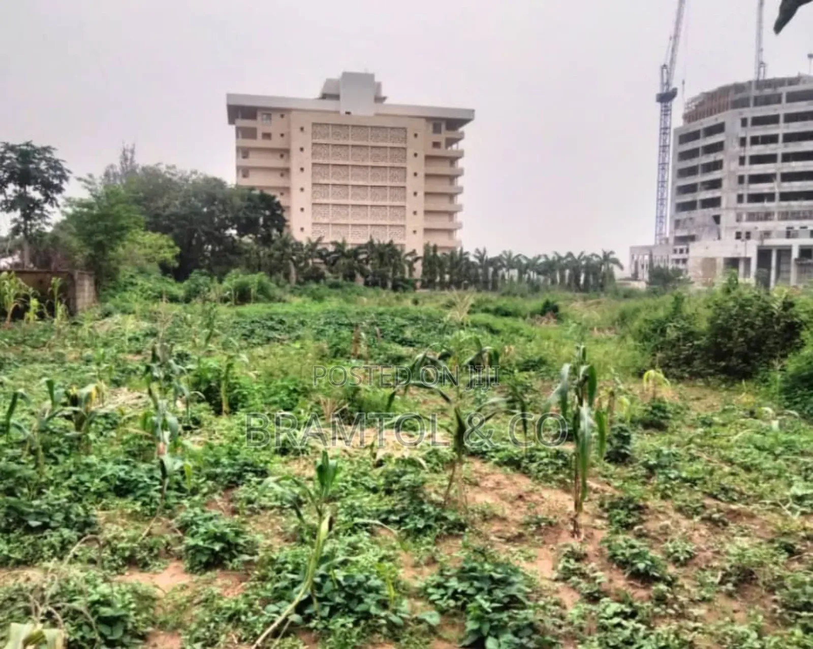 1.2 Hectares Commercial/Public Institution Land in Central Area in Wuse 2