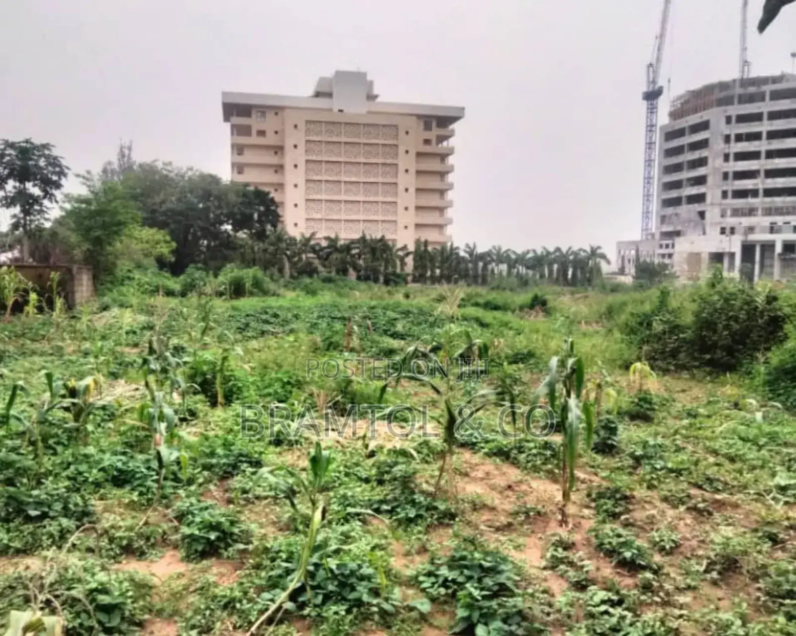 1.2 Hectares Commercial/Public Institution Land in Central Area in Wuse 2