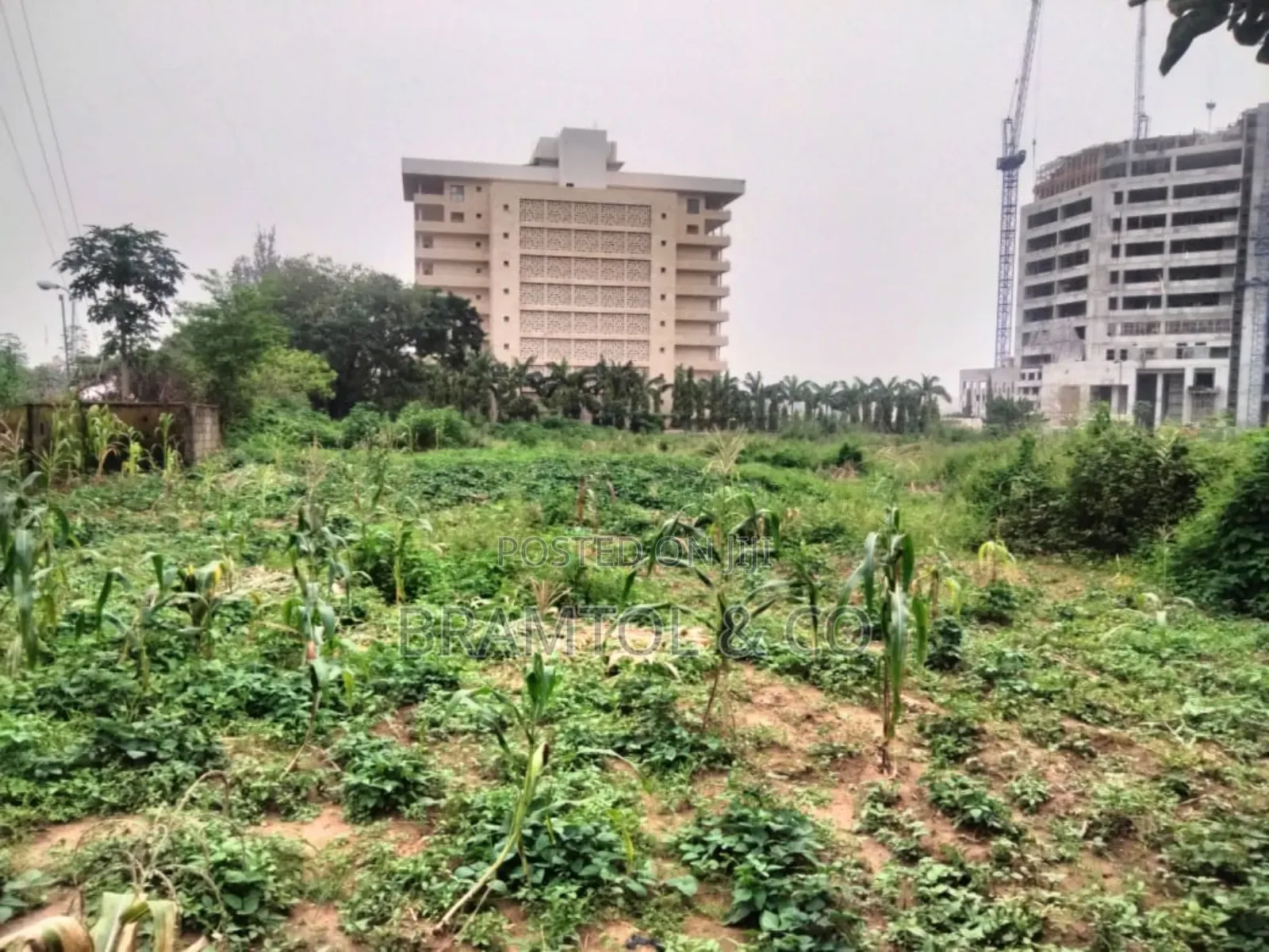 1.2 Hectares Commercial/Public Institution Land in Central Area in Wuse 2