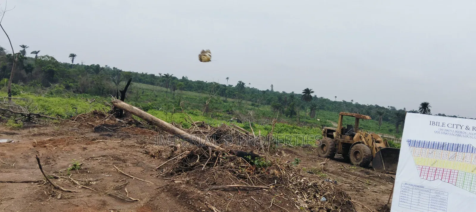 Ibile Farm City Abeokuta Now Selling in Abeokuta North