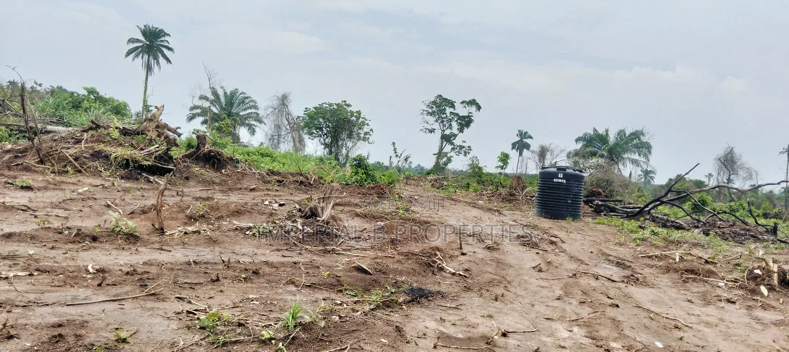 Ibile Farm City Abeokuta Now Selling in Abeokuta North
