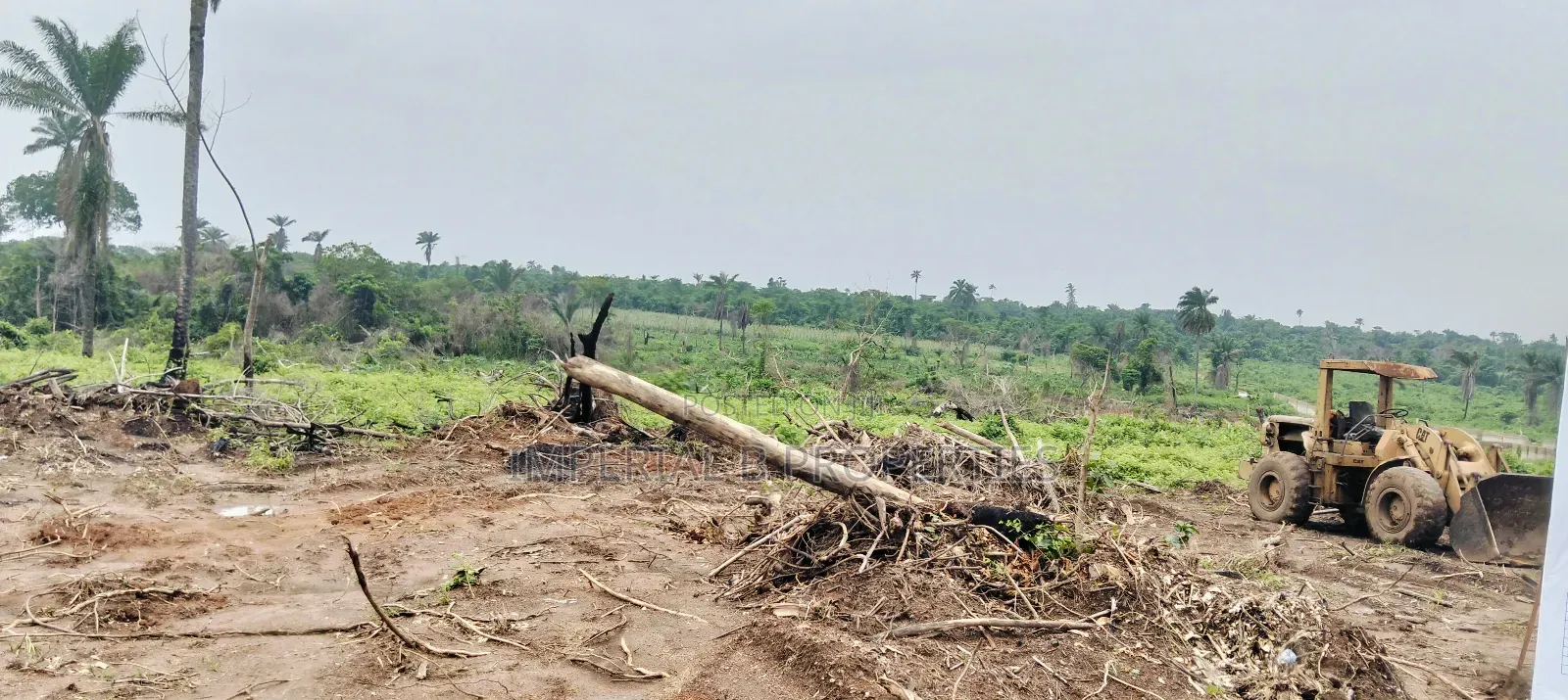Ibile Farm City Abeokuta Now Selling in Abeokuta North