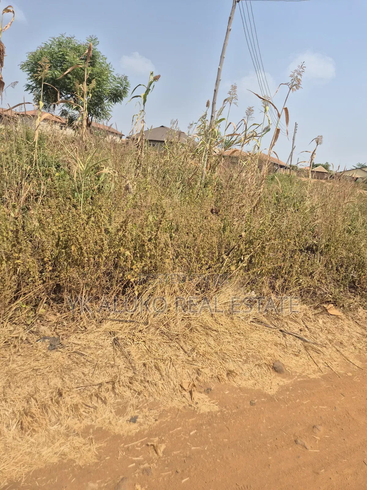 Global Certificate of Occupancy in Ilorin South