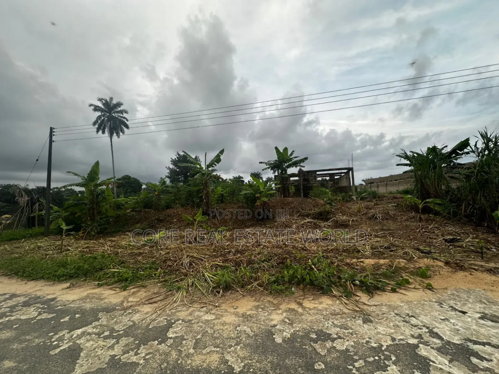 Genuine Land With C of O Ibefun Ogun State in Ijebu