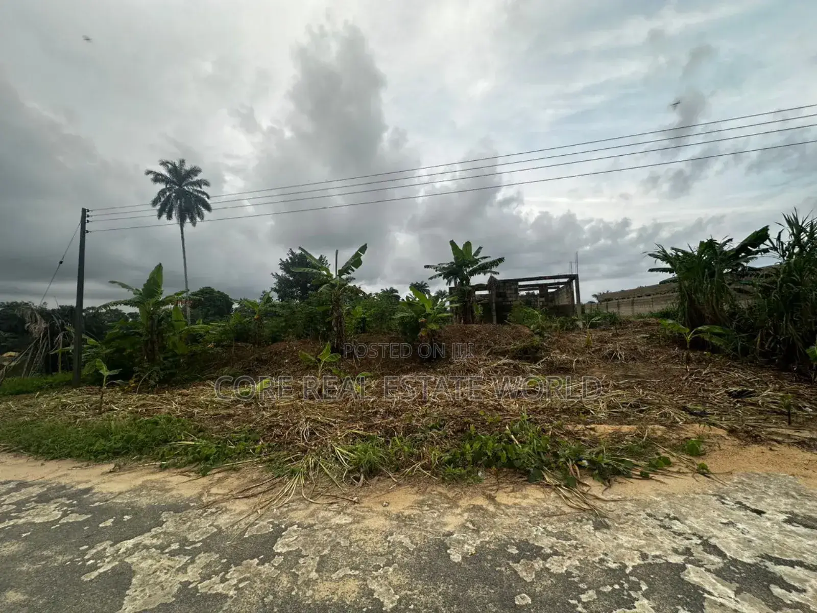 Genuine Land With C of O Ibefun Ogun State in Ijebu