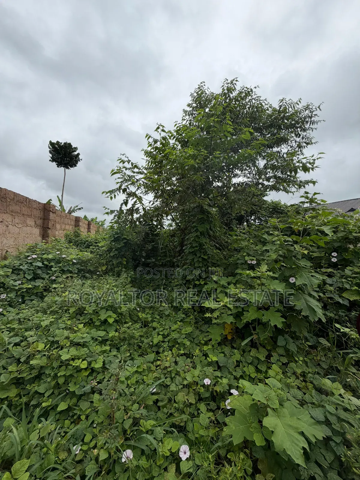 4bdrm Bungalow in Royaltor Real Estate, Benin City for sale in Benin City
