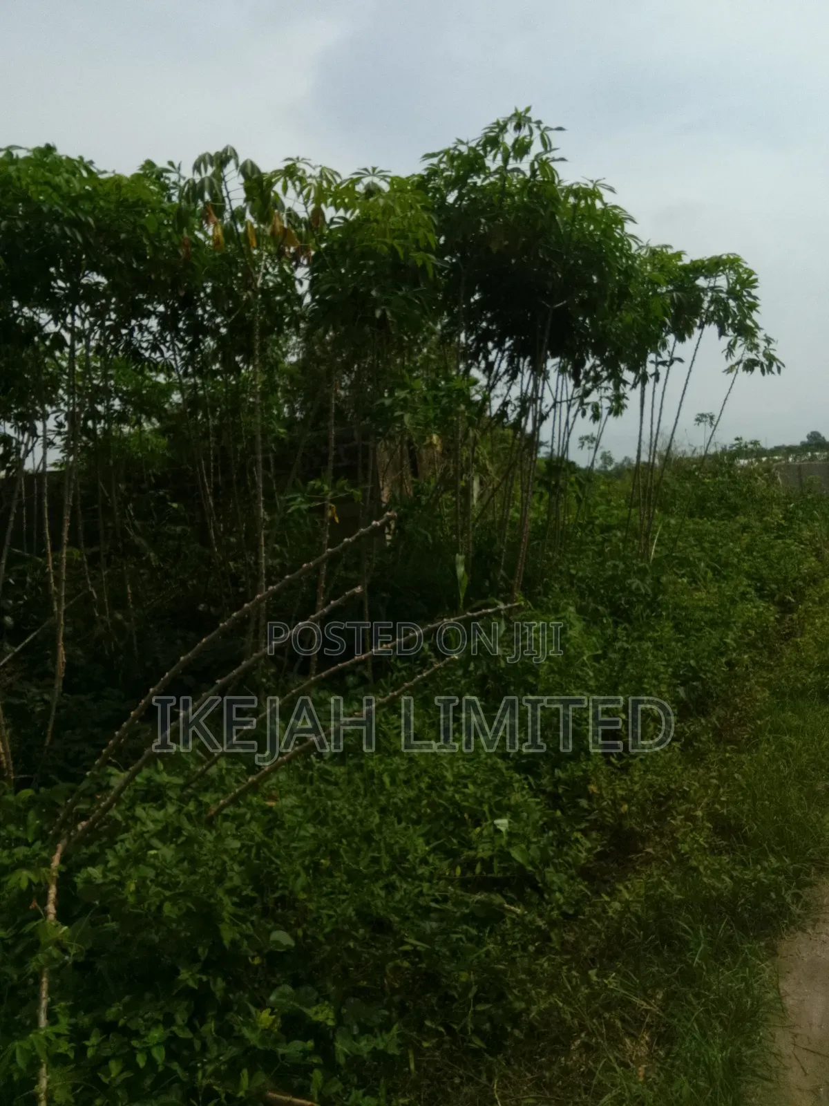 A Full Plot of Land for Sale at Epe in Epe