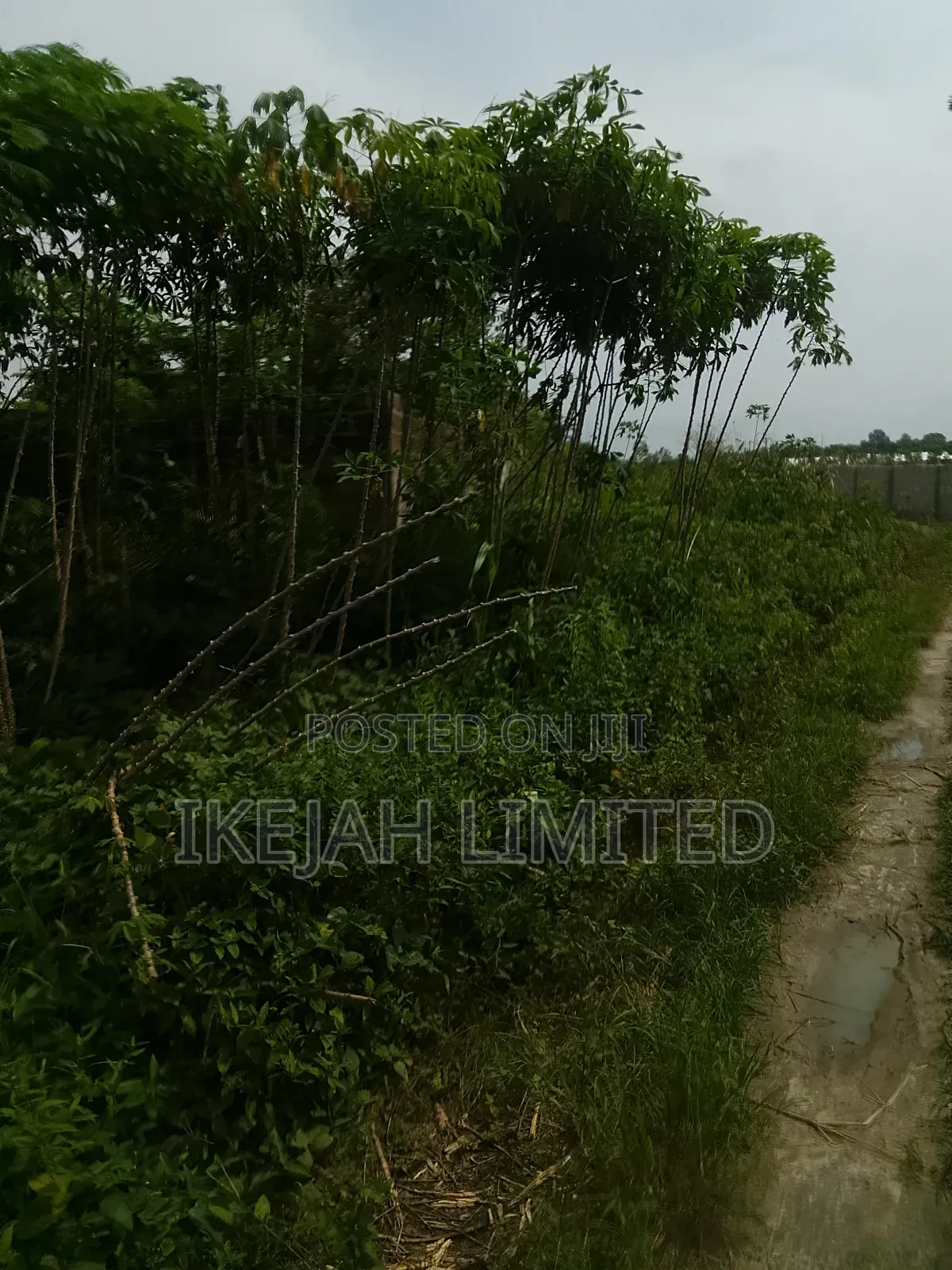 A Full Plot of Land for Sale at Epe in Epe