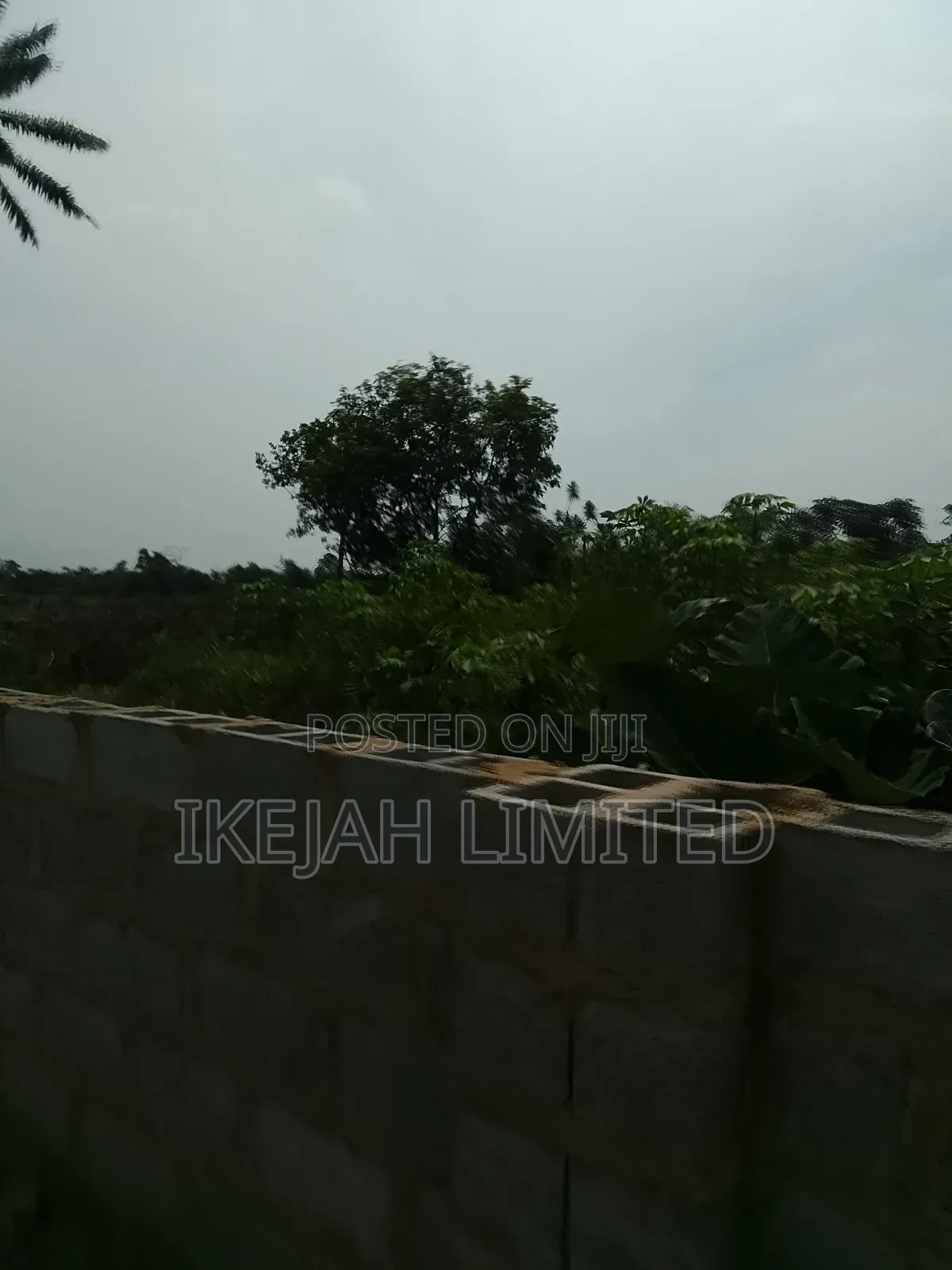 A Plot of Land for Sale in Eleko