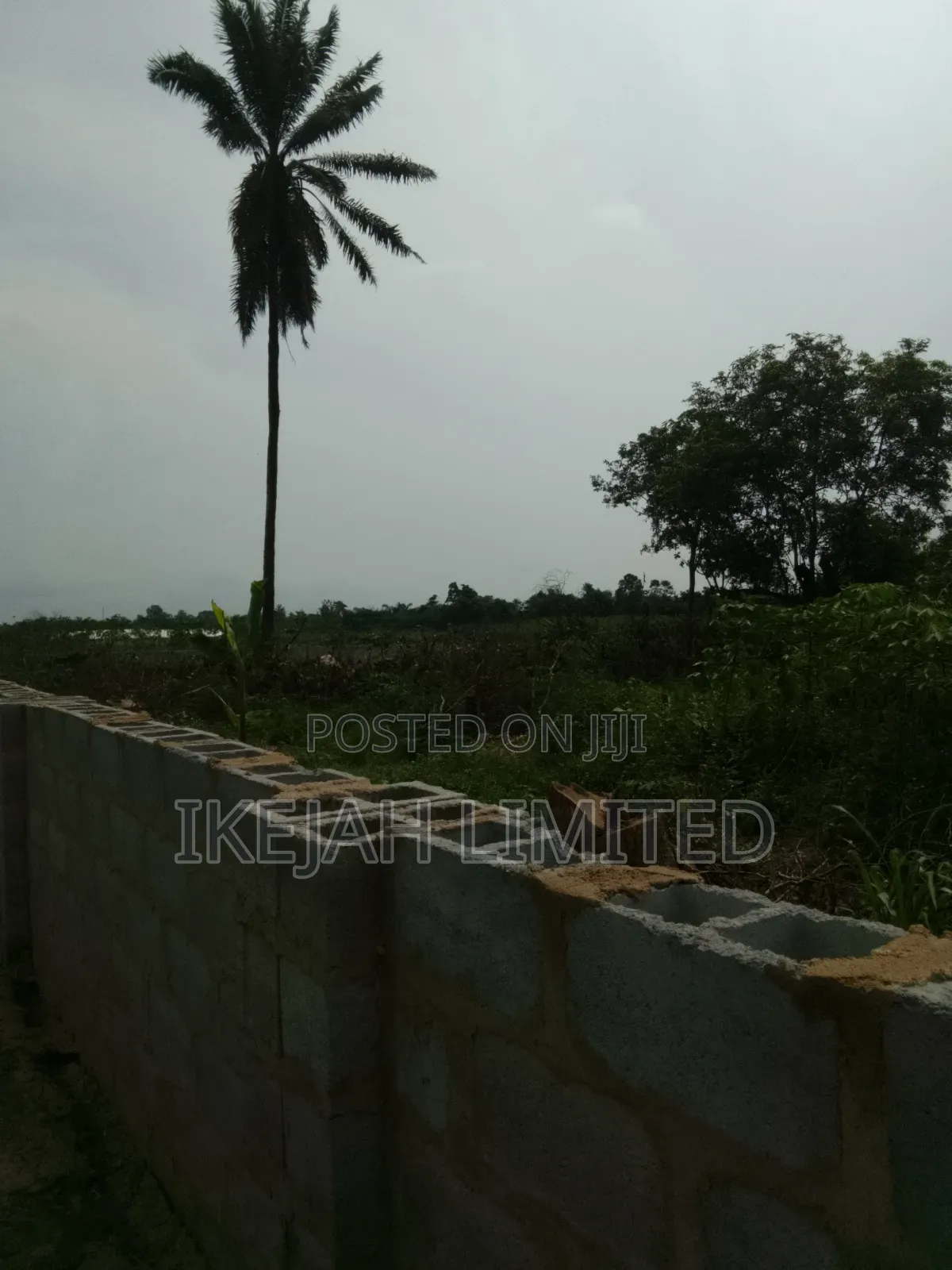 A Plot of Land for Sale in Eleko