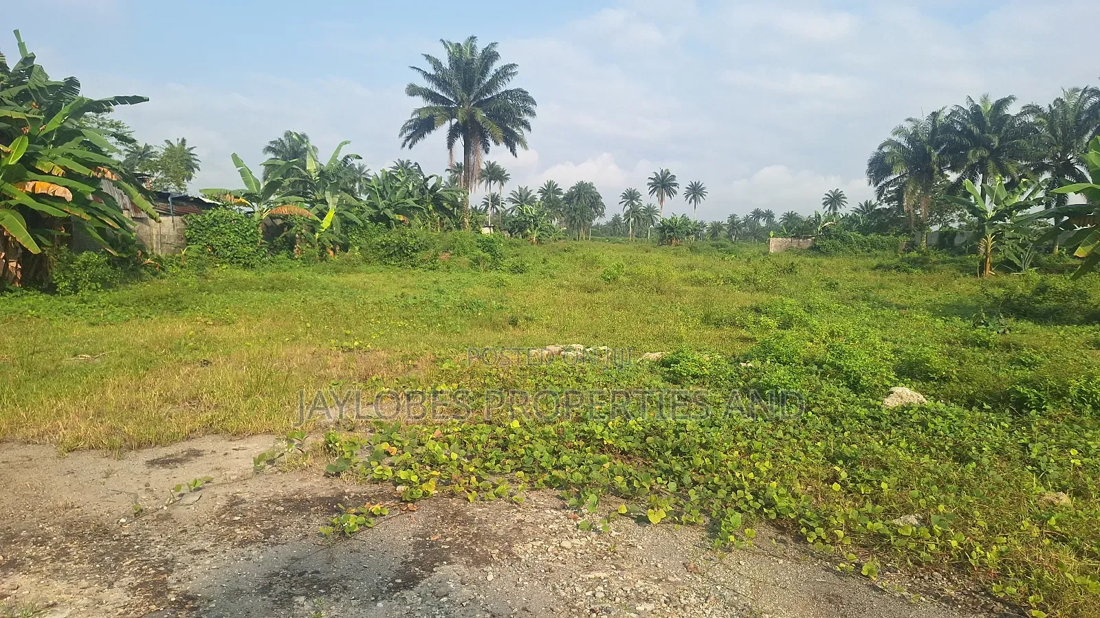 For Sale - 302 Plots (C of O) at Rupokwu, Port Harcourt in Obio-Akpor