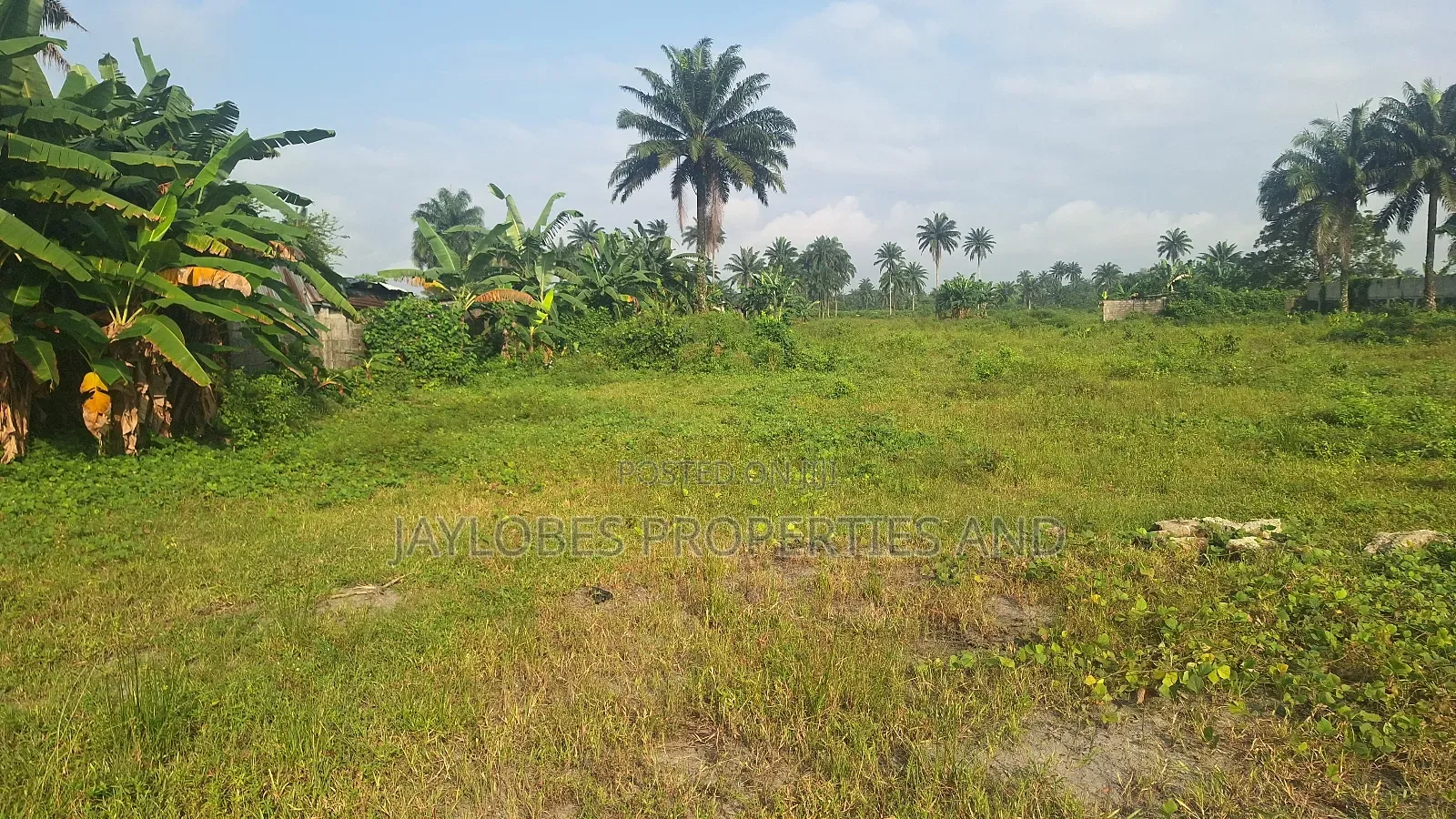 For Sale - 302 Plots (C of O) at Rupokwu, Port Harcourt in Obio-Akpor