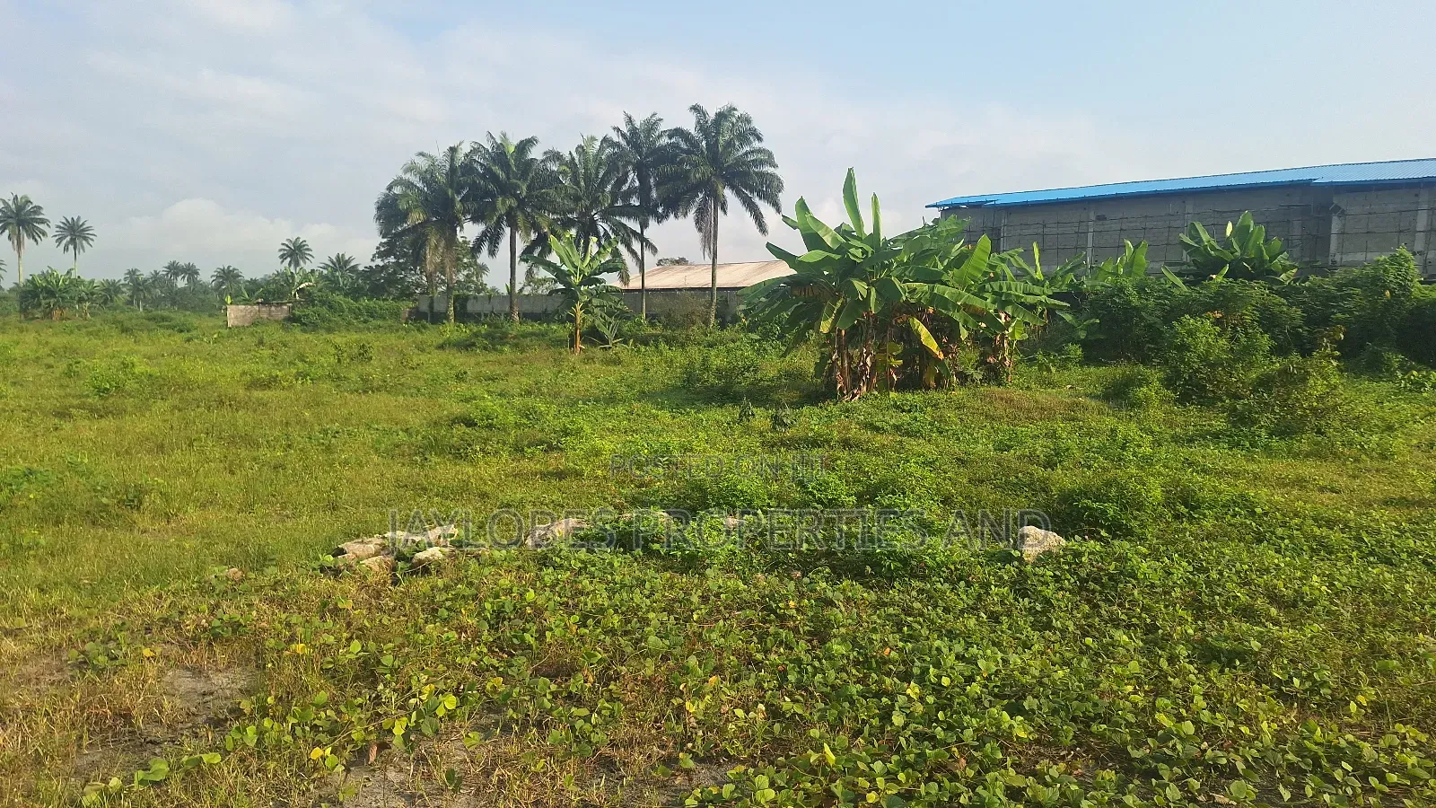 For Sale - 302 Plots (C of O) at Rupokwu, Port Harcourt in Obio-Akpor