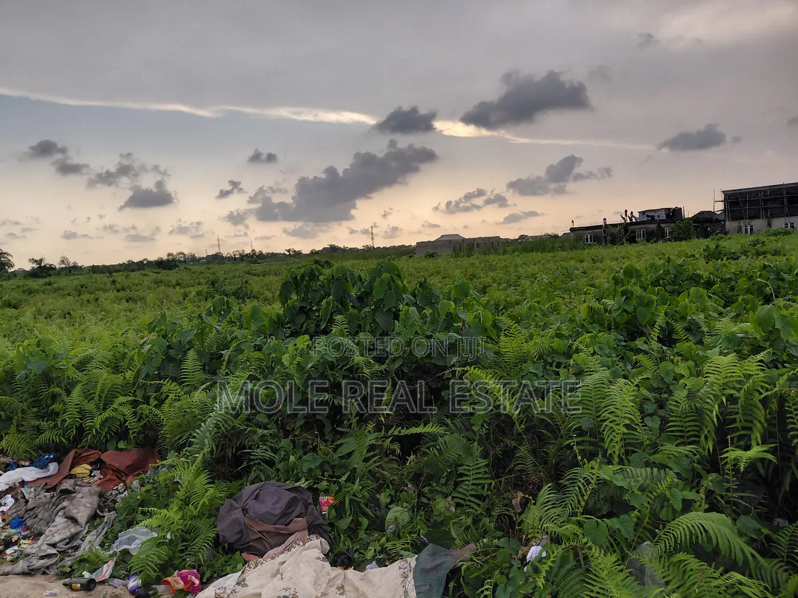 Half Plot Ijegemo New Tarred Road by Bustop in Ijegun