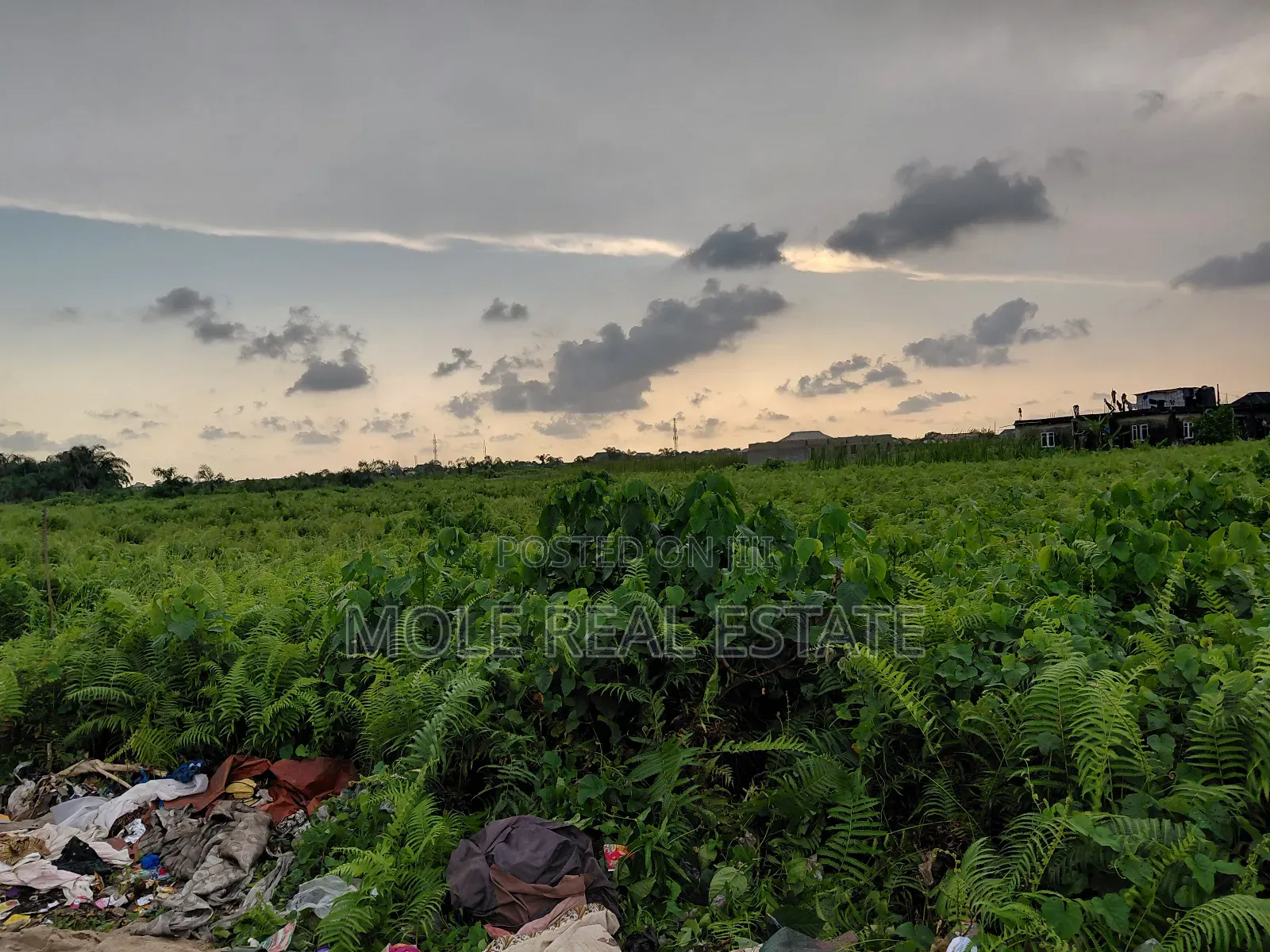 Half Plot Ijegemo New Tarred Road by Bustop in Ijegun