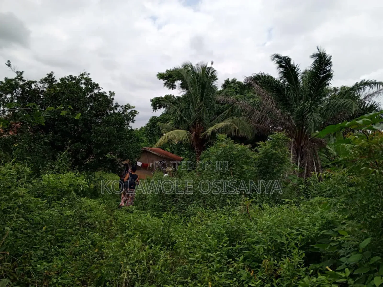 Poultry Farm on 4acres of Land at Apete Awotan in Ibadan
